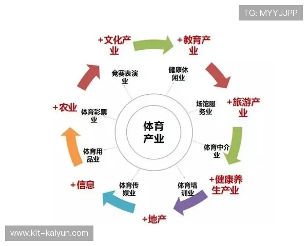 体育管理标准体系加速完善，引导行业规范发展